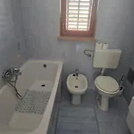 Apartment Ivana *